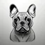 Placeholder: french bulldog line drawing