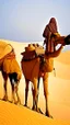 Placeholder: Africa, camel and desert, farmers