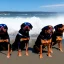 Placeholder: multiple Rottweillers wearing sunglasses on the beach with ocean in background waves crashing