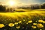 Placeholder: yellow, gold light effects colors, magic fields with buttercup, clear sunny light, highly detailed, high contrast, 8k, high definition, realistic, concept art, sharp focus