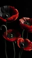 Placeholder: colleen hoover I want the stages of a poppy to appear on it to represent the stages of a relationship, also with a gradually light to dark background. Not this dark, more light and with love.