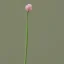 Placeholder: tiny delicate long stem flower bud, beautiful composition, centered in frame, pastel colors, plain solid color, photorealistic, chiaroscuro, aesthetic layout, monochrome pantone, minimalist photography, hyper realistic, octane render, minimalist art