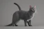 Placeholder: gray cat standing and pointing