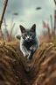 Placeholder: Ultra HD, Ultra Detailed,epic scene :A gray-colored cat flew through the air, landing in the enemy's trenches. The cat ran around the trench, disrupting the concentration of enemies and forcing them out of the trench.