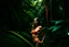 Placeholder: a girl in a bikini on a jungle background