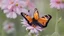 Placeholder: Close-up of butterfly pollinating on flower