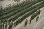 Placeholder: soldiers marching in formation; facing away from camera; military parade; tight formation; shoulder to shoulder; marching along a street; green uniforms; medals and insignia; weapons in hands; long distance perspective; birds eye view; large parade;