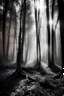 Placeholder: magical trees in forest black and white