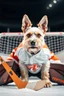 Placeholder: sideview of a yorkton terriers hockey goalie in front of goal, with the head of an angry tarrier dog