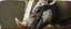 Placeholder: airbrush a, close up on rhino badger , pinhole cam, airbrush 3d rendering, in the style of Titian and Rembrandt , torn edges on border