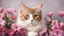 Placeholder: Beautiful cat with flowers