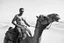 Placeholder: man looking like Walter White, with bare chest riding on a camel in sahara in desert, panorama, black and white photo