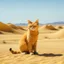 Placeholder: a yellow cat in the desert