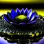 Placeholder: black lotus with gold drops on petals on purple water