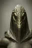 Placeholder: Photoreal Gorgeous Stealthy hooded lizardman forgotten realms by lee jeffries, octane render, 8k, high detail