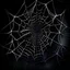 Placeholder: black spider web