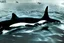 Placeholder: An orca army fighting in WW2, swimming up a stream to attack