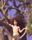 Placeholder: beautiful 12 year old arabic boy with long, curly hair and light blue eyes,shirtless, in front of a mango tree