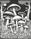 Placeholder: midnight mushroom coloring book, Moonlit Mushroom Grove, coloring pages for kids, cartoon style, thick line, low detail, white background, black and white, no shading, clear line art, high quiality img, no grysce