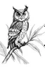 Placeholder: black and white sketch of an owl perched on a palm branch