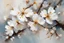 Placeholder: Close-up of a fragment of a branch with white cherry blossoms. Abstract Oil painting in the style of Willem Haenraets.