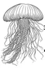 Placeholder: outline art for Jellyfish Polyp coloring pages with sitch, white background, Sketch style, full body, only use outline, toddlers style, clean line art, white background, no shadows and clear and well outlined.