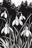 Placeholder: outline art of snowdrops only black and white, no colour , White background. sketch style, clean line art, white background, no shadow and clear, no people, no colour, for book