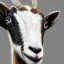 Placeholder: portrait of a very cute realistic detailed goat dragon,ultra high resolution