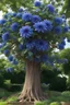 Placeholder: enormous dahlia tree, tree higher than forest, blue dahlia
