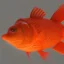 Placeholder: Orange Fish Entering to christmas from Halloweein