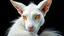 Placeholder: white stylish with textured ears with tufted tips and a subtle pink interior, long and white, sharp jawline and high cheekbones, piercing yellow deep galaxies bright glowing aura with vertical pupils and a golden ring around the iris, soft and white fur trim on shoulders that's longest at the back, intricate subtle and shimmering silver scales on arms