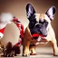 Placeholder: Portrait of a french bulldog with brown fur celebrating new year and christmas