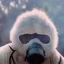 Placeholder: subject = (Yeti in a mask) background = (wildfires, mountains, fires, smoke, disaster)