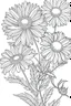 Placeholder: Outline art for coloring page, DAISIES WITH STEMS, coloring page, white background, Sketch style, only use outline, clean line art, white background, no shadows, no shading, no color, clear