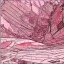 Placeholder:  line Art coloured, destroyed, post apocalyptic, darkred tones,