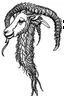 Placeholder: a goat 2d with horn