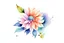 Placeholder: watercolor flower clean background, hyperrealistic,