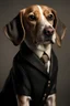 Placeholder: Portrait of a pretentious sweet beagle who wants to look like Paul McCartney when he was a beatle