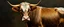 Placeholder: master oil painting by Rembrandt, loab cow