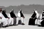 Placeholder: Four Arab sheikhs sitting in the desert wearing typical Arab dress, looking towards the four cardinal points. A talll fat european man in business suit wathhing them while thinking.