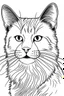 Placeholder: "A black and white line art illustration of a realistic [cat breed] in a coloring book style, with thick outlines defining the fur texture and simple shapes, on a plain white background." Examples: "A black and white line art illustration of a realistic golden retriever in a coloring book style, with thick outlines defining the fur texture and simple shapes, on a plain white background." "A black and white line art illustration of a realistic pug in a coloring book style, with thick outlines de