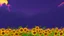 Placeholder: purple sky full of stars, sunflower field, anime