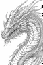 Placeholder: coloring image of dragon, line art, realistic, white background