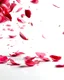 Placeholder: Cherry petals flying