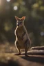 Placeholder: a wallaby who is training discos, bokeh like f/0.8, tilt-shift lens 8k, high detail, smooth render, down-light, unreal engine, prize winning