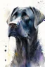 Placeholder: A portrait of black Labrador by Willem Haenraets, watercolor, wet on wet and splattering techniques, centered, perfect composition, abstraction, surrealism