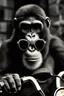 Placeholder: Ape on a scooter wearing sunglasses, logo