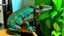 Placeholder: Chameleon and bathroom: both often involve a degree of camouflage or concealment—a chameleon blending with its surroundings, a bathroom concealing personal activities.