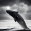 Placeholder: b&w photograph of beautiful sperm whale jumping out of turbulent ocean water, stunning, magnificant, sunset sky, 8k resolution, high-quality, fine-detail, detailed matte, photography, illustration, digital art, Jeanloup Sieff, Marc Adamus, Ann Prochilo, Romain Veillon