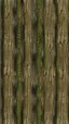 Placeholder: seamless texture suggestive rough texture of an elm tree trunk flowing vertical